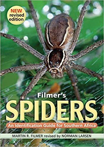 indir Filmer&#39;s spiders: An identification guide to Southern Africa
