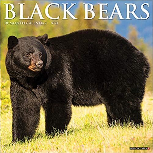 indir Black Bears 2021 Calendar