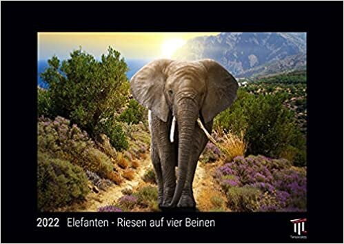 ダウンロード  Elefanten - Riesen auf vier Beinen 2022 - Black Edition - Timokrates Kalender, Wandkalender, Bildkalender - DIN A3 (42 x 30 cm) 本
