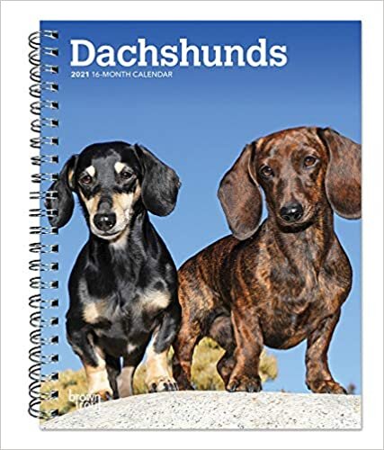 ダウンロード  Dachshunds 2021 Calendar 本