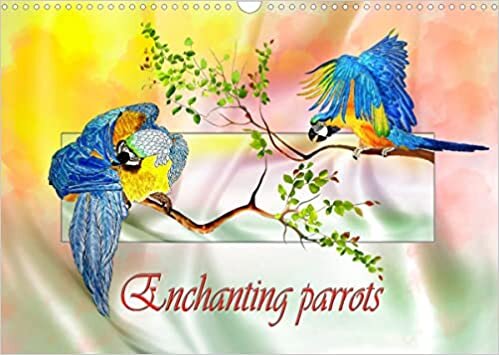 Enchanting parrots (Wall Calendar 2023 DIN A3 Landscape): Parrots from the world of coloured pencils (Monthly calendar, 14 pages ) ダウンロード