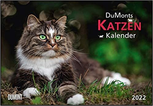 ダウンロード  DuMonts Katzen-Kalender 2022: mit kurzweiligen Katzengeschichten 本