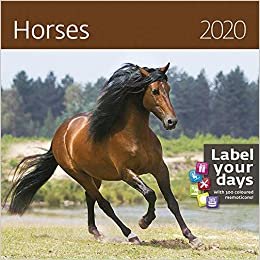 تحميل Horses Calendar - Calendars 2019 - 2020 Wall Calendar - Photo Calendar - 12 Month Calendar by Helma (Multilingual Edition)