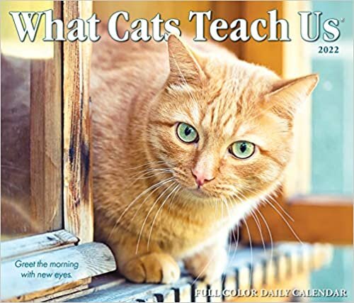 ダウンロード  What Cats Teach Us 2022 Box Calendar 本
