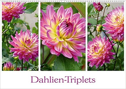 indir Dahlien-Triplets (Wandkalender 2021 DIN A2 quer): Auf jeder Kalenderseite: Dahlien im Dreierpack (Monatskalender, 14 Seiten ) (CALVENDO Natur)