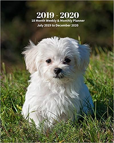 indir 2019 - 2020 | 18 Month Weekly &amp; Monthly Planner July 2019 to December 2020: Maltese Pup Dog Pet Monthly Calendar with U.S./UK/ ... Calendar in Review/Notes 8 x 10 in. Vol 21