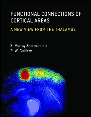 indir Functional Connections of Cortical Areas: A New View from the Thalamus