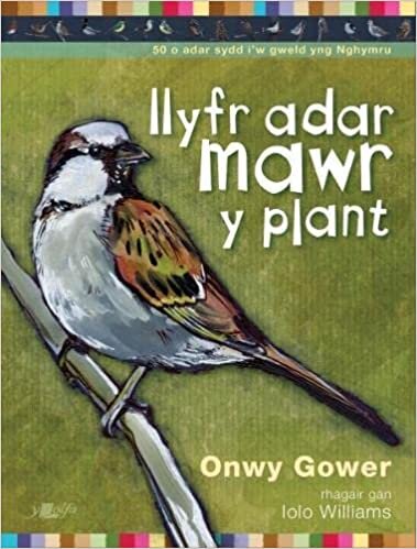 Llyfr Adar Mawr y Plant