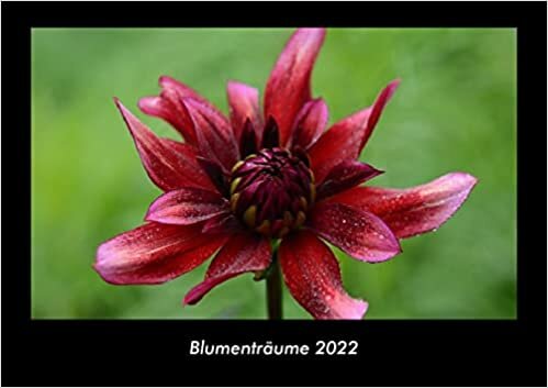 ダウンロード  Blumentraeume 2022 Fotokalender DIN A3: Monatskalender mit Bild-Motiven aus Fauna und Flora, Natur, Blumen und Pflanzen 本