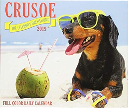Crusoe the Celebrity Dachshund 2019 Calendar
