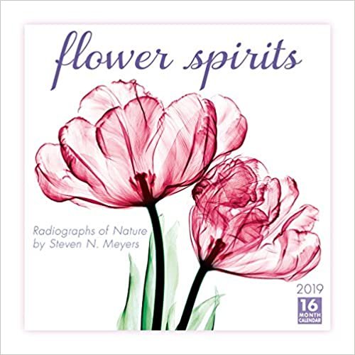 Flower Spirits Radiographs of Nature by Steven N. Meyers 2019 Calendar