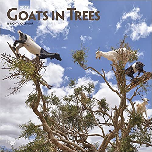 Goats in Trees 2019 Calendar