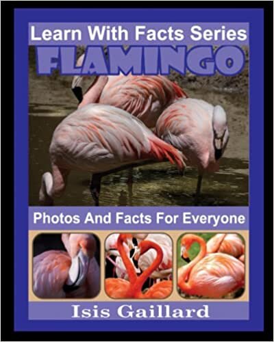اقرأ Flamingo Photos and Facts for Everyone: Animals in Nature (Learn With Facts Series) الكتاب الاليكتروني 