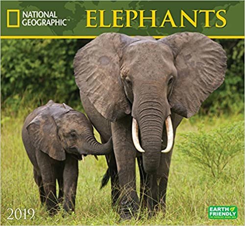 National Geographic Elephants 2019 Calendar
