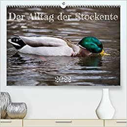 ダウンロード  Der Alltag der Stockente (Premium, hochwertiger DIN A2 Wandkalender 2022, Kunstdruck in Hochglanz): Einblicke in das Verhalten der Stockente (Monatskalender, 14 Seiten ) 本