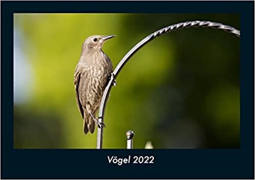 ダウンロード  Voegel 2022 Fotokalender DIN A4: Monatskalender mit Bild-Motiven von Haustieren, Bauernhof, wilden Tieren und Raubtieren 本