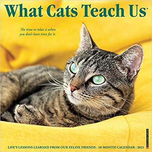 What Cats Teach Us 2021 Calendar