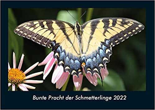 ダウンロード  Bunte Pracht der Schmetterlinge 2022 Fotokalender DIN A4: Monatskalender mit Bild-Motiven von Haustieren, Bauernhof, wilden Tieren und Raubtieren 本