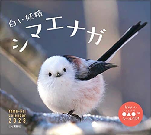 カレンダー2023 白い妖精シマエナガ (月めくり/壁掛け) (ヤマケイカレンダー2023) ダウンロード