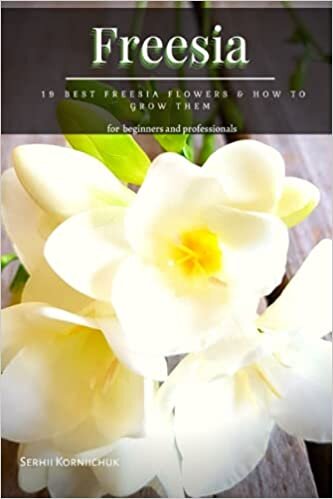 indir Freesia: 19 Best Freesia Flowers &amp; How tо Grow Them: 19 Best Freesia Flowers &amp; How tо Grow Them