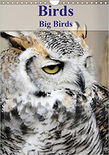 Birds Big Birds (Wall Calendar 2021 DIN A4 Portrait): Images of some of the largest birds (Monthly calendar, 14 pages )