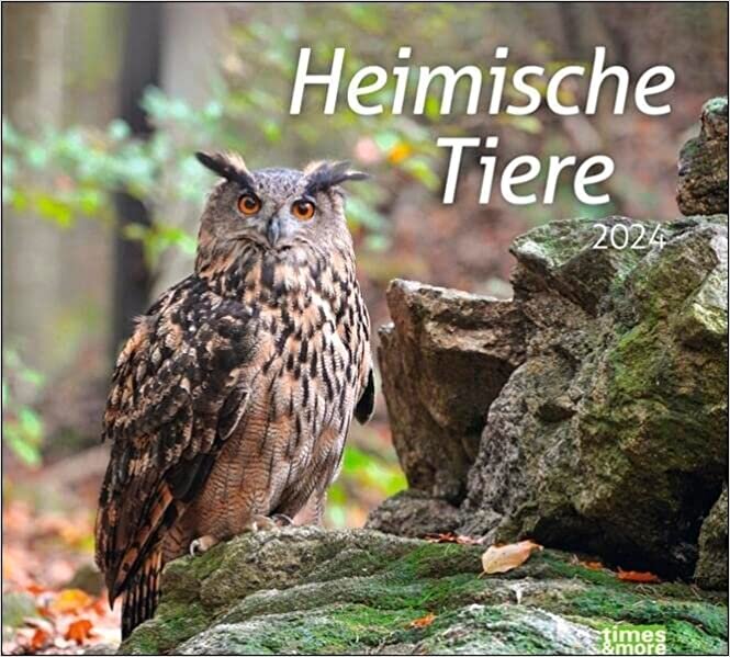 times&more Heimische Tiere Bildkalender 2024 ダウンロード