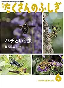ダウンロード  ハチという虫 (月刊たくさんのふしぎ2021年6月号) 本