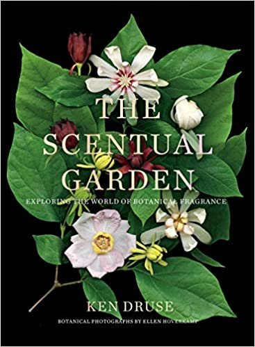 ダウンロード  Scentual Garden: Exploring the World of Botanical Fragrance 本