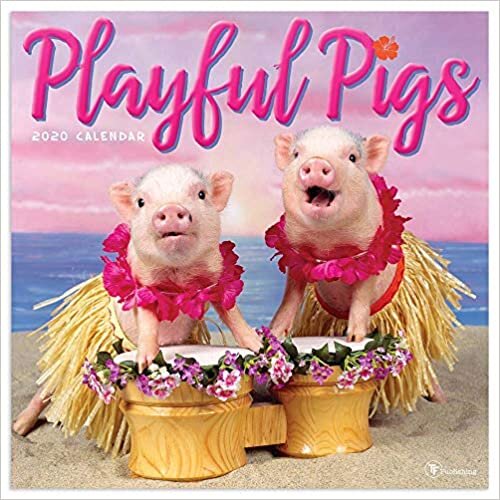 ダウンロード  Playful Pigs 2020 Calendar 本