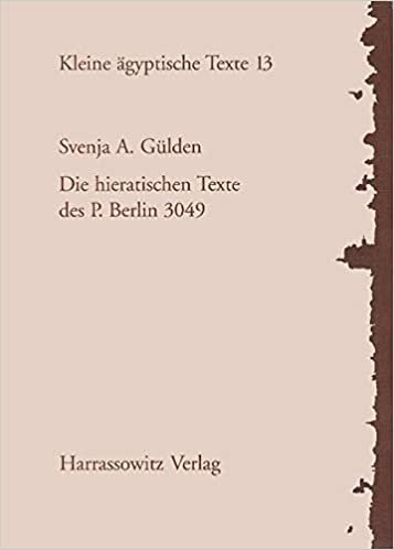 Die Hieratischen Texte Des P. Berlin 3049 (Kleine Agyptische Texte)