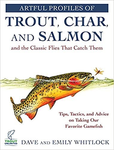 Artful Profiles of Trout, Char, and Salmon and the Classic Flies That Catch Them: Tips, Tactics, and Advice on Taking Our Favorite Gamefish