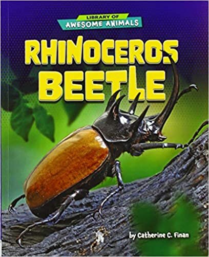 indir Rhinoceros Beetle (Library of Awesome Animals)