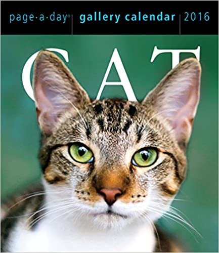 Cat 2016 Gallery Calendar (2016 Calendar)