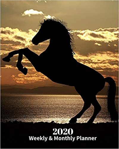 2020 Weekly and Monthly Planner: Horse Shadow - Monthly Calendar with U.S./UK/ Canadian/Christian/Jewish/Muslim Holidays– Calendar in Review/Notes 8 x 10 in.- Horse Animal Nature indir