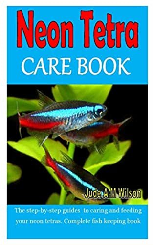 indir NEON TETRA CARE BOOK: The step-by-step guides to caring and feeding your neon tetras. Complete fish keeping book