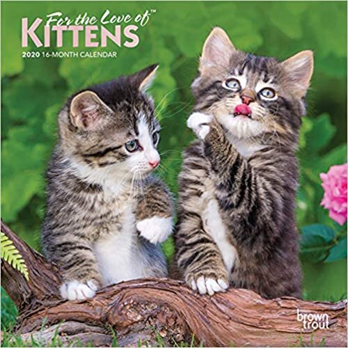 ダウンロード  For the Love of Kittens 2020 Calendar: Foil Stamped Cover 本
