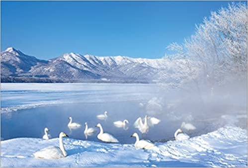 【Amazon.co.jp 限定】屈斜路湖に集まる白鳥 ポストカード3枚セット P3-120