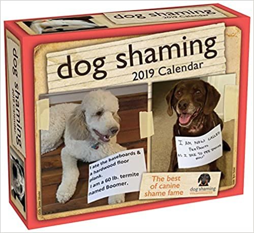 ダウンロード  Dog Shaming 2019 Day-to-Day Calendar 本