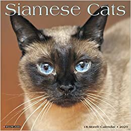 Siamese Cats 2020 Calendar
