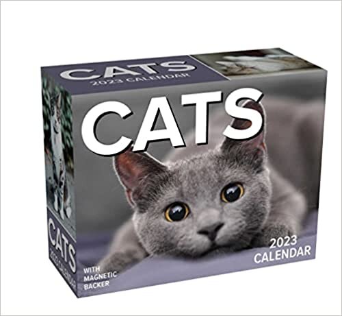 Cats 2023 Mini Day-to-Day Calendar