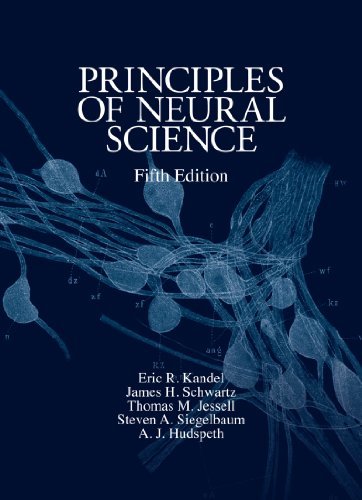 ダウンロード  Principles of Neural Science, Fifth Edition (Principles of Neural Science (Kandel)) (English Edition) 本