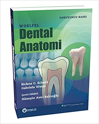 Woelfel Dental Anatomi indir