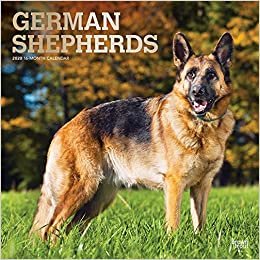 German Shepherds 2020 Calendar: Foil Stamped Cover