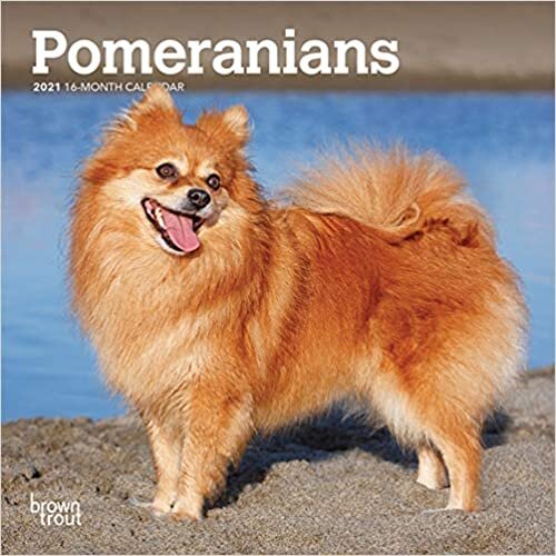 ダウンロード  Pomeranians 2021 Calendar 本