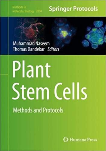 تحميل Plant Stem Cells: Methods and Protocols