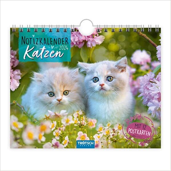 Troetsch Notizkalender Querformat Notizkalender Katzen 2024 - mit 12 Postkarten: Wandkalender Notizkalender