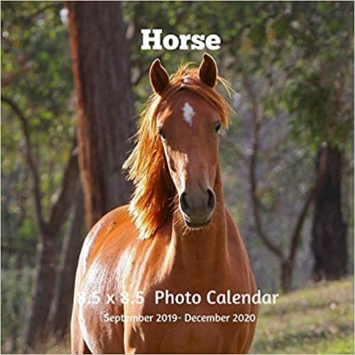 Horses 8.5 X 8.5 Calendar September 2019 -December 2020: Monthly Calendar with U.S./UK/ Canadian/Christian/Jewish/Muslim Holidays-Horses Animal Nature indir