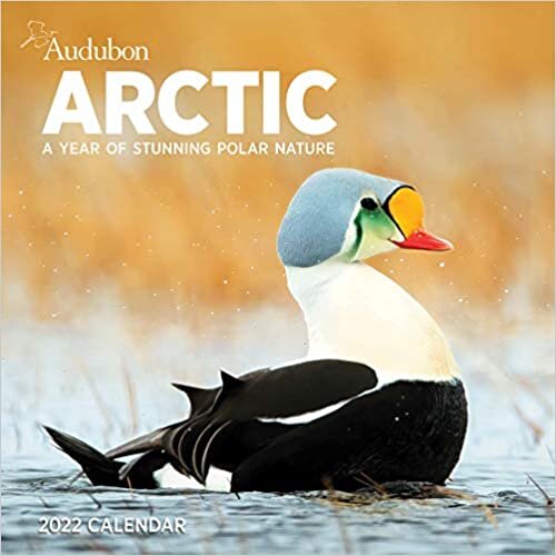 ダウンロード  Audubon Arctic Wall Calendar 2022 本