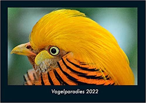 ダウンロード  Vogelparadies 2022 Fotokalender DIN A4: Monatskalender mit Bild-Motiven von Haustieren, Bauernhof, wilden Tieren und Raubtieren 本