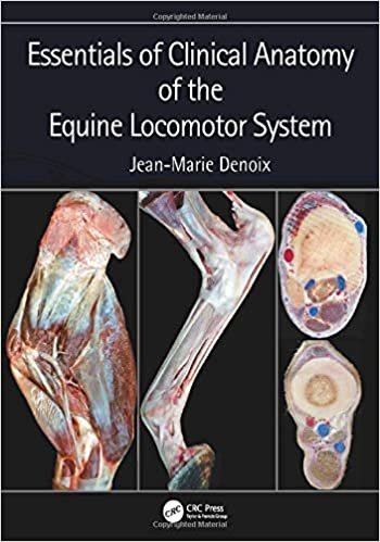 Essentials of Clinical Anatomy of the Equine Locomotor System ダウンロード